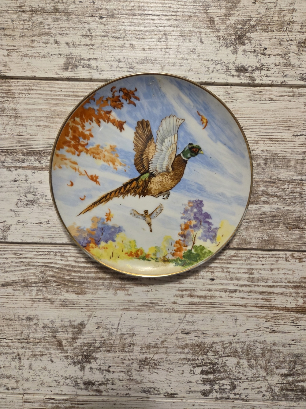 Decorative Flying Pheasant Wall Plate - Multicolor